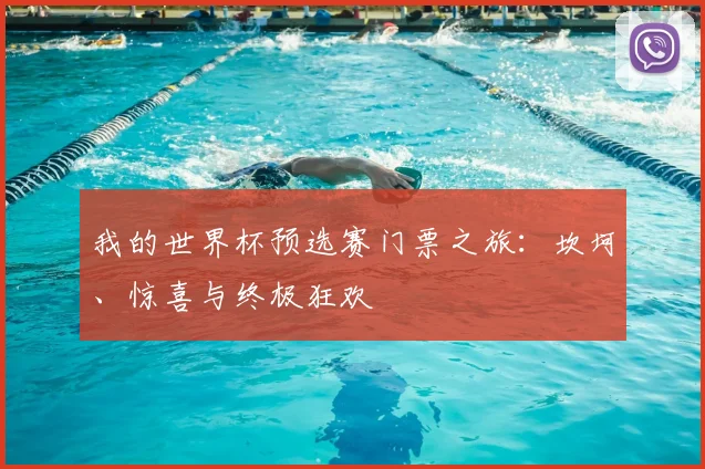 我的世界杯预选赛门票之旅：坎坷、惊喜与终极狂欢