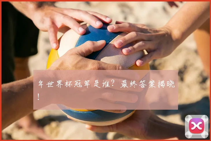 年世界杯冠军是谁？最终答案揭晓！