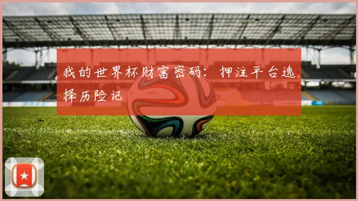 我的世界杯财富密码：押注平台选择历险记