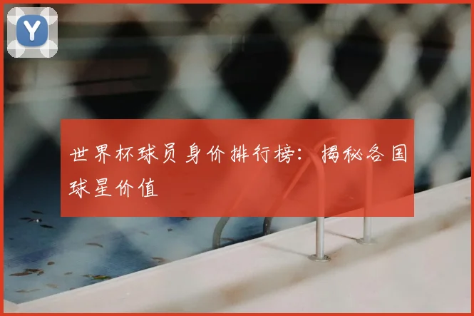 世界杯球员身价排行榜：揭秘各国球星价值