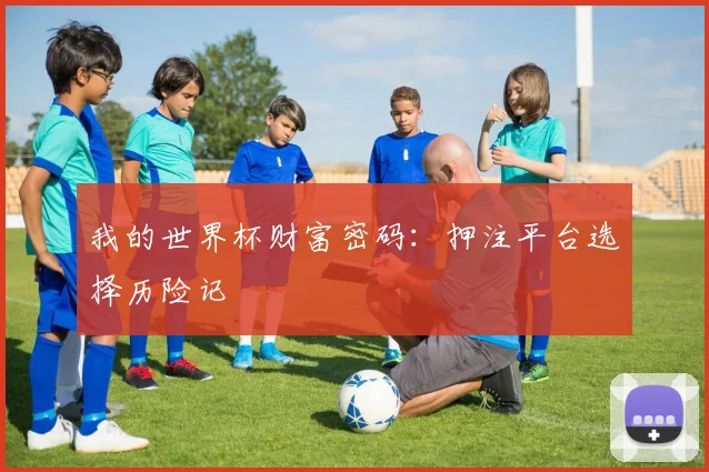 我的世界杯财富密码：押注平台选择历险记
