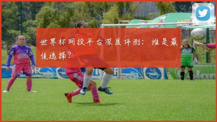 世界杯网投平台深度评测：谁是最佳选择？