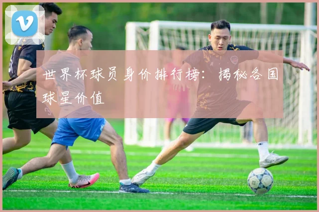 世界杯球员身价排行榜：揭秘各国球星价值
