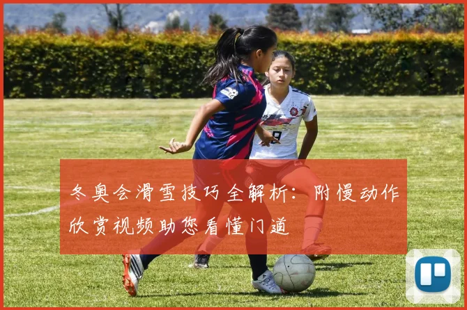 冬奥会滑雪技巧全解析：附慢动作欣赏视频助您看懂门道
