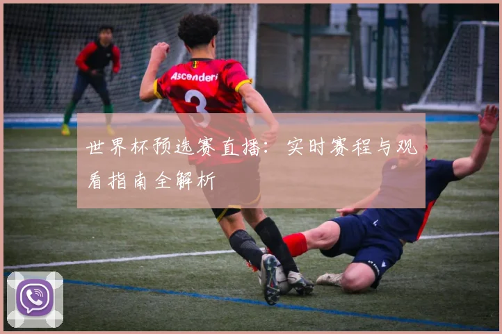 世界杯预选赛直播：实时赛程与观看指南全解析