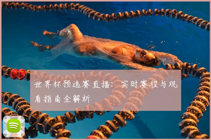 世界杯预选赛直播：实时赛程与观看指南全解析